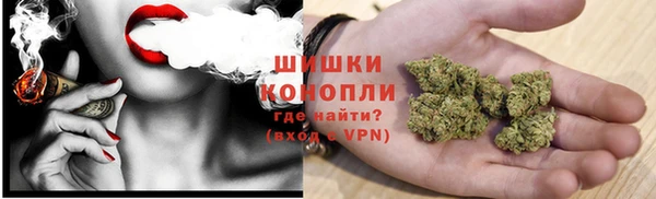 крисы Армянск