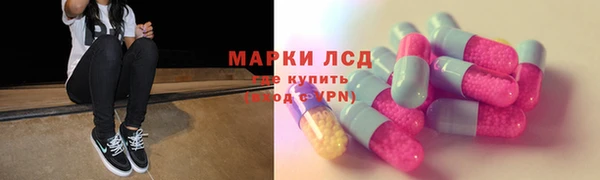 гашик Аркадак