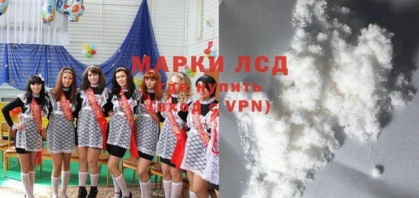гашик Аркадак