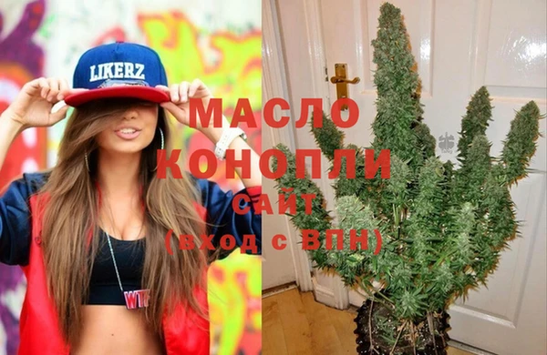 гашик Аркадак