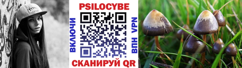 хочу наркоту  сайты даркнета клад  Галлюциногенные грибы GOLDEN TEACHER  Нея 