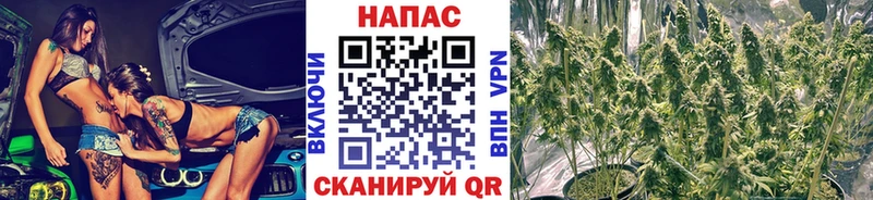 Марихуана марихуана Нея